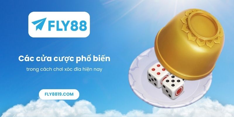 Các cửa cược phổ biến trong cách chơi xóc đĩa hiện nay