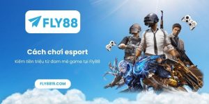 Cách chơi esport_ Kiếm tiền triệu từ đam mê game tại Fly88