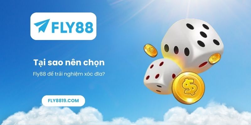 Tại sao nên chọn Fly88 để trải nghiệm xóc đĩa